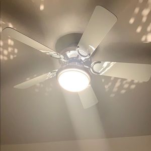 Meet your Posher, Hattie